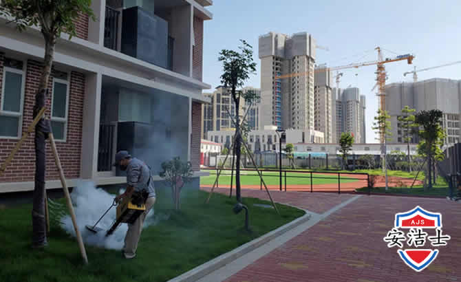 龙泉工厂工地除白蚁