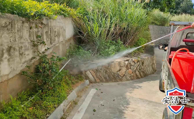 龙泉道路堤坝白蚁防治