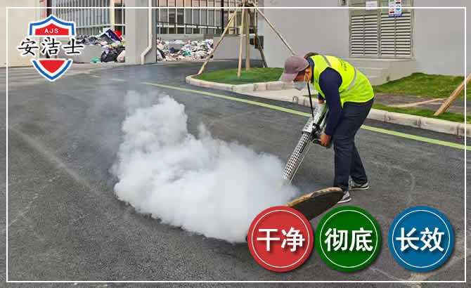 龙泉消杀防疫现场