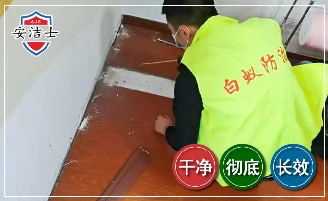 龙泉除四害现场