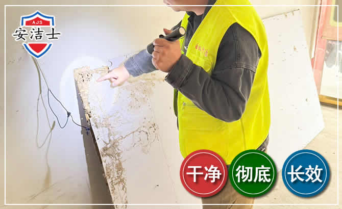 龙泉除白蚁现场