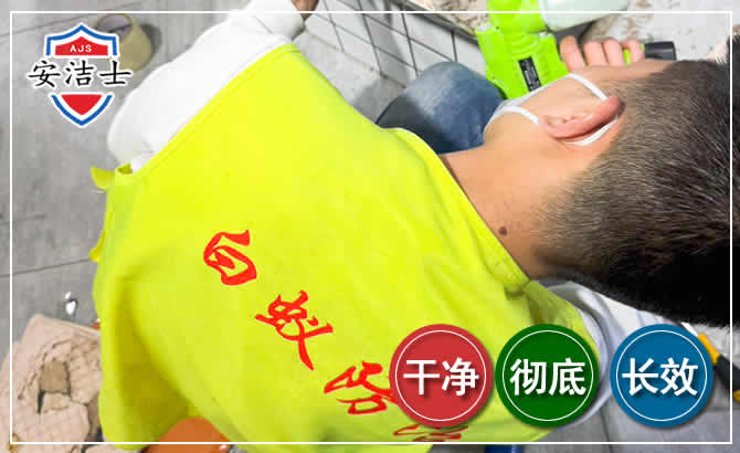 龙泉白蚁根治现场